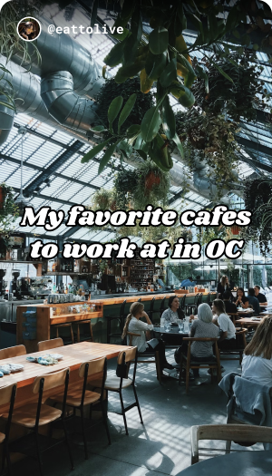 Tabi App Interface Tabi app interface showing organized place collections